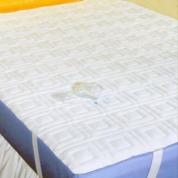 Hartmann Other - Hospital Bed Quilted Mattress Protector 36x80 Twin